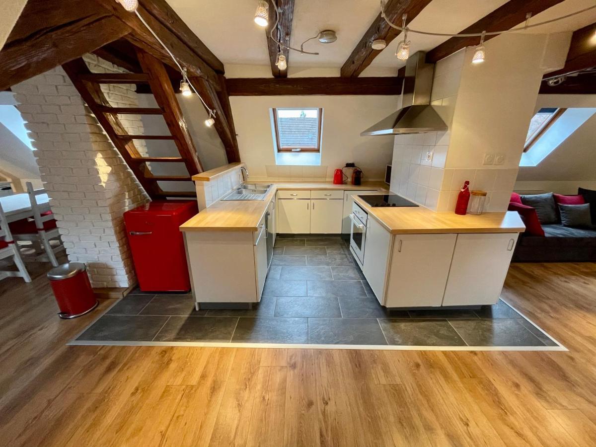 Apartament Le Petit Linck - Typique Au Coeur De Colmar Zewnętrze zdjęcie