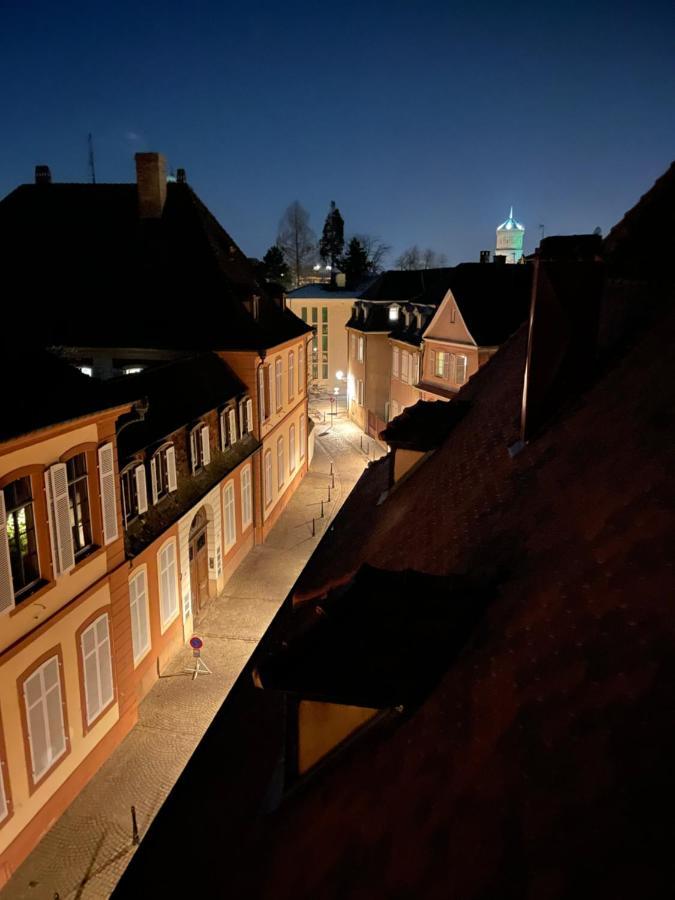 Apartament Le Petit Linck - Typique Au Coeur De Colmar Zewnętrze zdjęcie