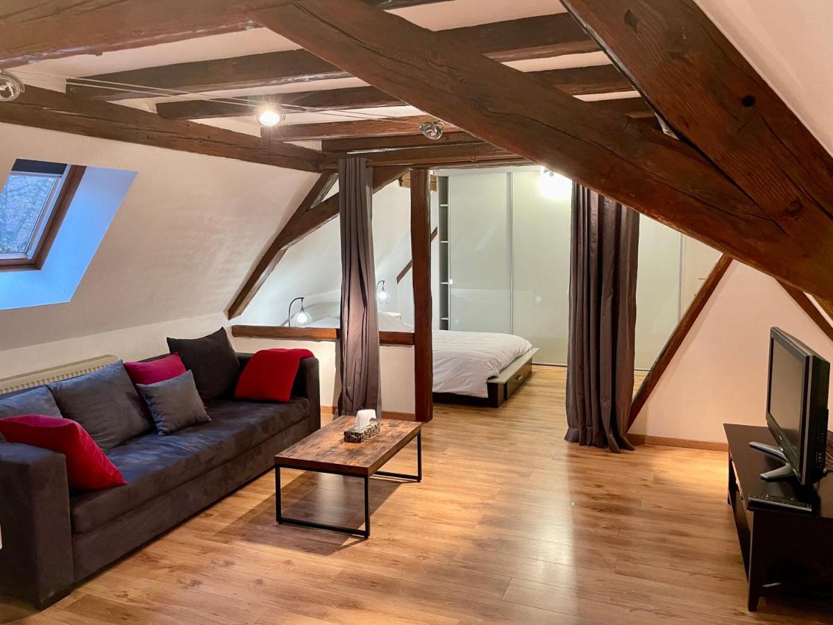 Apartament Le Petit Linck - Typique Au Coeur De Colmar Zewnętrze zdjęcie