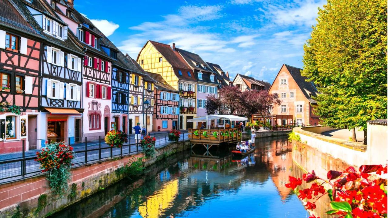 Apartament Le Petit Linck - Typique Au Coeur De Colmar Zewnętrze zdjęcie